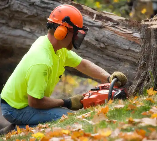 tree services Savage